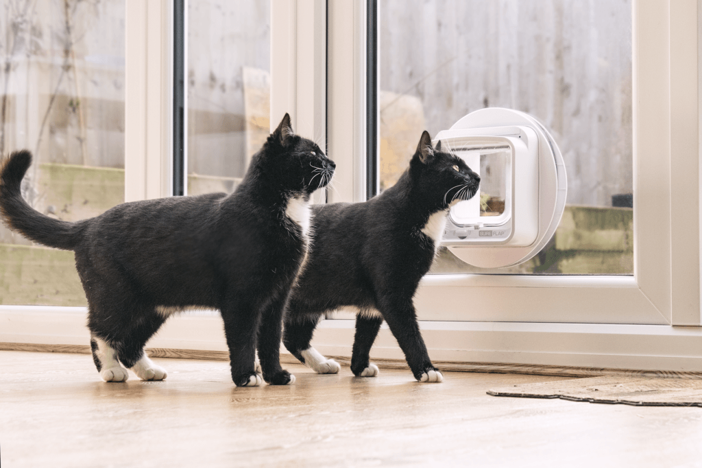 SureFlap Microchip Cat Flap Connect